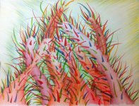 Hamo Čavrk "Cvijetovi" bojica / akvarel na papiru 50x70cm