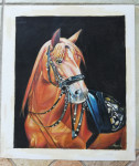Konj, ulje na platnu, 30 x 35 cm