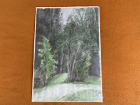 Kroz šumu - Akvarel