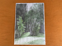 Kroz šumu - Akvarel