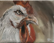 Ljuta koka -Akril na platnu