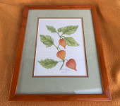 Kineski fenjer - Margarite Zessel - Akvarel