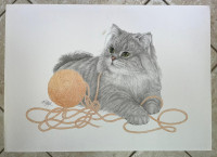 Reprodukcija 70 x 50 cm 55