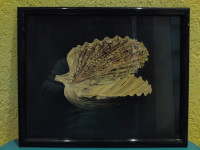 ŠKOLJKA 2 (THE SHELL)