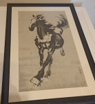 Slika konja u kasu