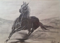 Slika konja u galopu