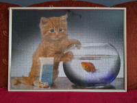 Slika mačak i riba