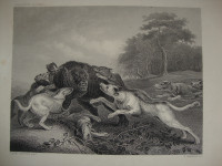 THE BEAR HUNT - FRANZ SNYDERS pinx.- LOV na Medvjeda - 19. stoljeće