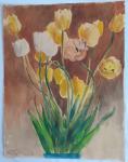 tulipani - akvarel na papiru