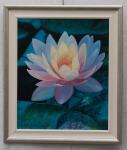 Cvijet Lotusa, 63x73 cm uokvirena slika, original i potpisana