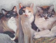 Umjetnička slika Mačke