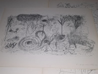 Zeljko Hegedusic 1957