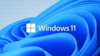 Windows 11 Pro licenca R1