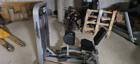 Life fitness PRO 2 adductor