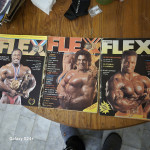 Flex casopisi ex Yu izdanje brojevi (1.2.3)