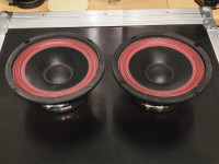 Mali razglasni zvučnici, 16 cm