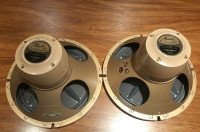 TANNOY HPD315A 12''