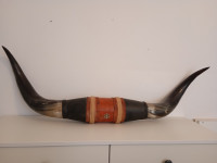 Dekorativni rogovi bika