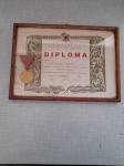 diploma+zlatna medalja,medaljon za požrtvovnost 1964.god.