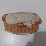 mali magnetić bijela mačka koja spava u košari iz Njemačke starija
