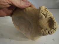 Nekakav fosil izgleda?