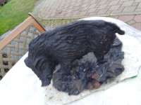 Skulptura divljeg vepra-zamjene za starine