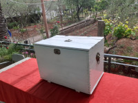 Stari drveni kovčeg ukrašen lavljim aplikacijama