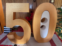 Stiroporini broj 50.