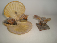Ukrasne školjke / RASPRODAJA