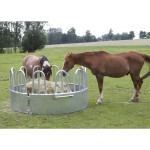 HRANILICA POJAČANA za sijeno s 10 mjesta - 430,00 € - Vitalis.shop