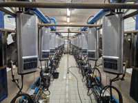 Izmuzište riblja kost 2x12, kompletno