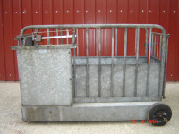 STOČNA VAGA  300 KG