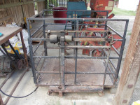 Stočna vaga za svinje