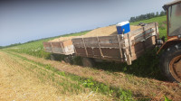 Ječam