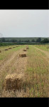 Bale slame 10 kg