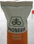 Pioneer sjemenski kukuruz