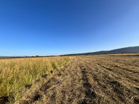 Prodajem rolo i kockaste bale