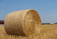 Rolo bale slame