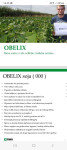 Soja sjemenska Rwa Obelix 3 nule,PRESELEKTRIRANA