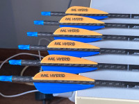 Carbon Express Maxima strijele