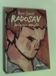 Radosav, jutarnja magla - Boris Stanić