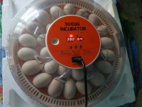 Inkubator za 30 Jaja automatski