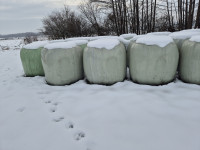 Prodajem sijeno, slamu i sjenažu!