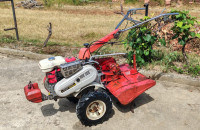 Mio Standard Honda f600