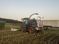 Claas Jaguar 980