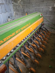 Sijacica Amazone D7 Special 2