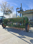 Sijačica amazone