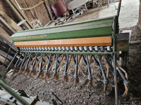 zitna sijacica amazone