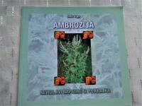 AMBROZIJA  BORIS VRGA NEVIDLJIVI NAPADAČ IZ PRIKRAJKA, SISAK 2008