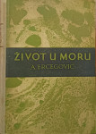 Ante Ercegović - Život u moru